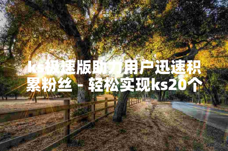 ks极速版助力用户迅速积累粉丝 - 轻松实现ks20个赞自助下单。