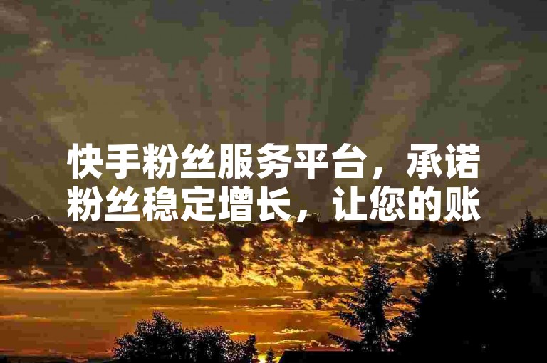 快手粉丝服务平台，承诺粉丝稳定增长，让您的账号人气持续旺盛。