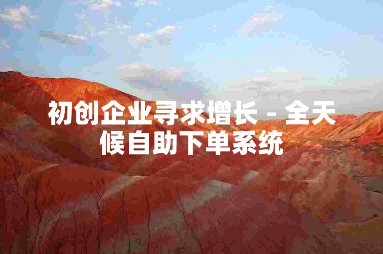 初创企业寻求增长 - 全天候自助下单系统