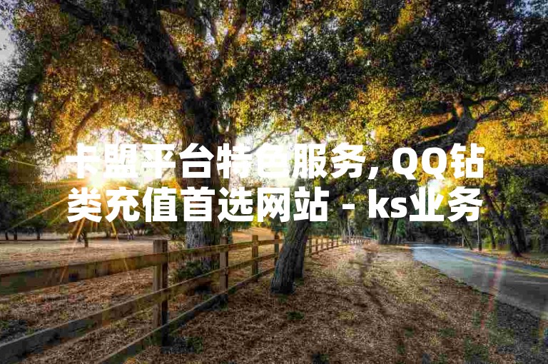 卡盟平台特色服务, QQ钻类充值首选网站 - ks业务自助下单系统优惠多 - QQ空间人气提升工具