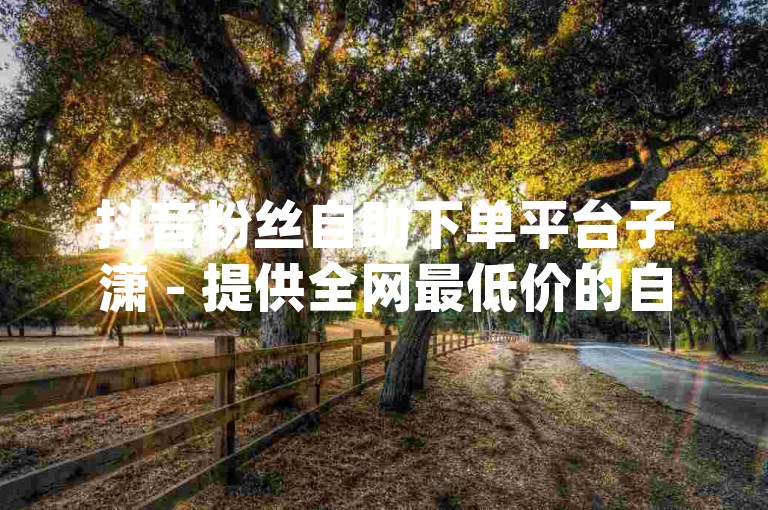 抖音粉丝自助下单平台子潇 - 提供全网最低价的自助下单服务dy。
