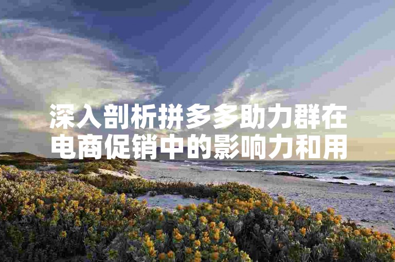 深入剖析拼多多助力群在电商促销中的影响力和用户参与度。
