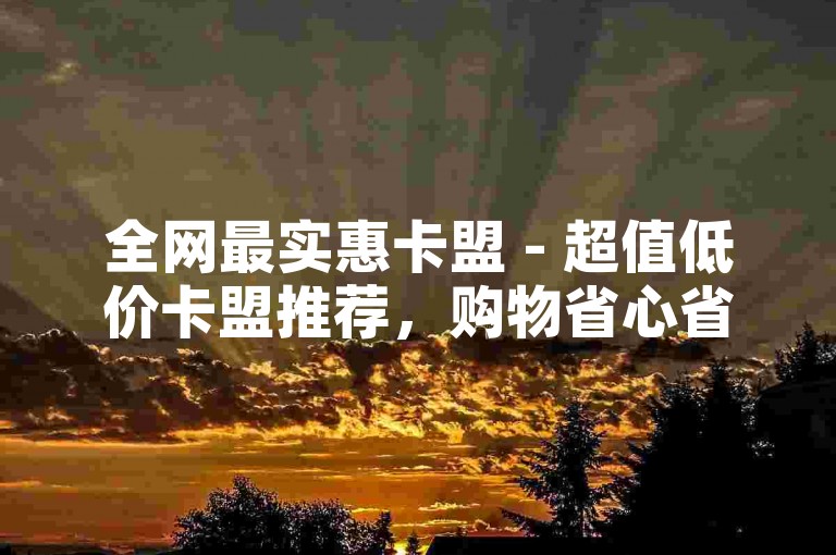 全网最实惠卡盟 - 超值低价卡盟推荐，购物省心省力！