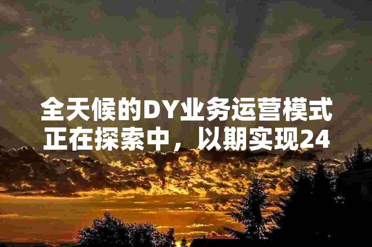 全天候的DY业务运营模式正在探索中，以期实现24小时不间断服务。