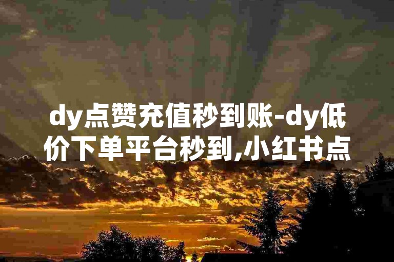 dy点赞充值秒到账-dy低价下单平台秒到,小红书点赞24小时服务平台