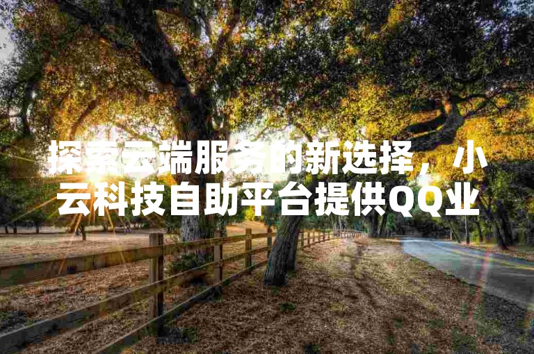 探索云端服务的新选择，小云科技自助平台提供QQ业务超值优惠。