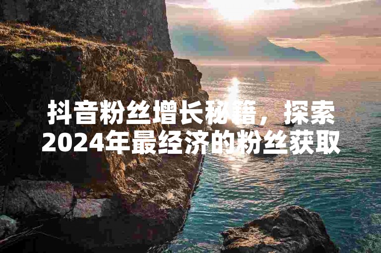 抖音粉丝增长秘籍，探索2024年最经济的粉丝获取策略！