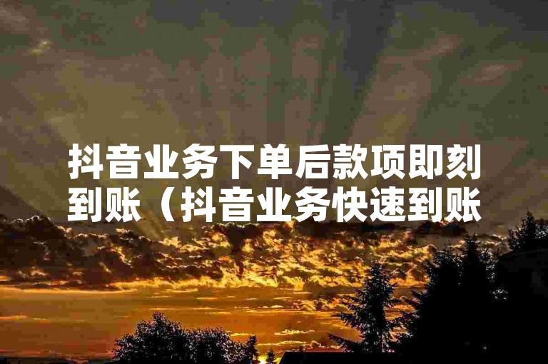 抖音业务下单后款项即刻到账（抖音业务快速到账，助您迅速获取资金）
