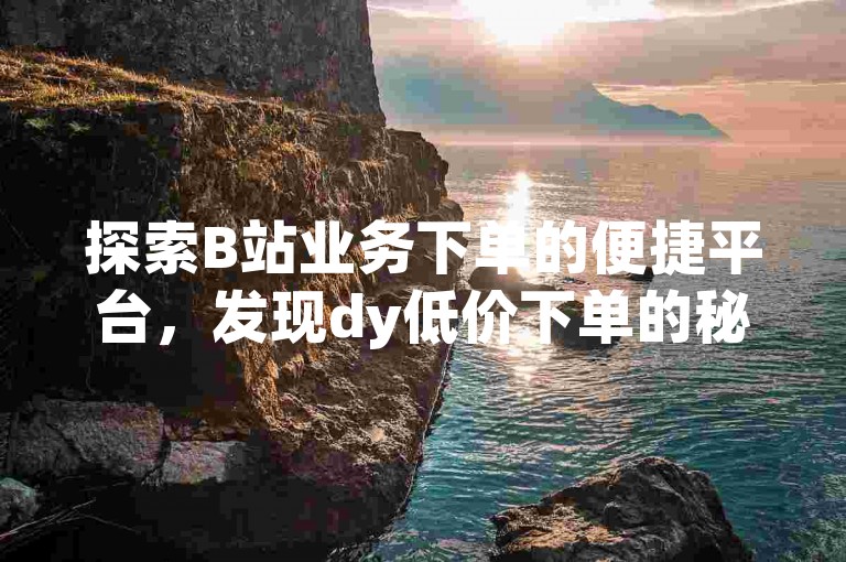 探索B站业务下单的便捷平台，发现dy低价下单的秘密入口。