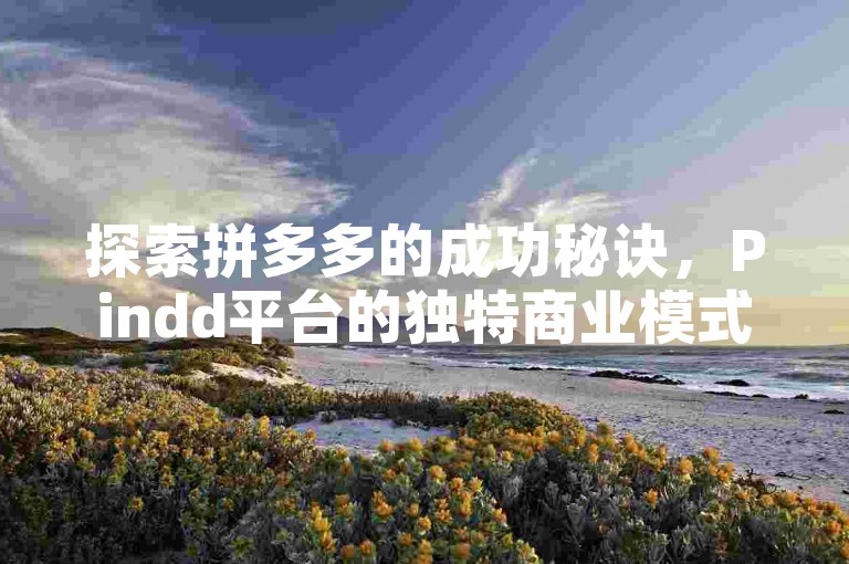 探索拼多多的成功秘诀，Pindd平台的独特商业模式与吸引力。