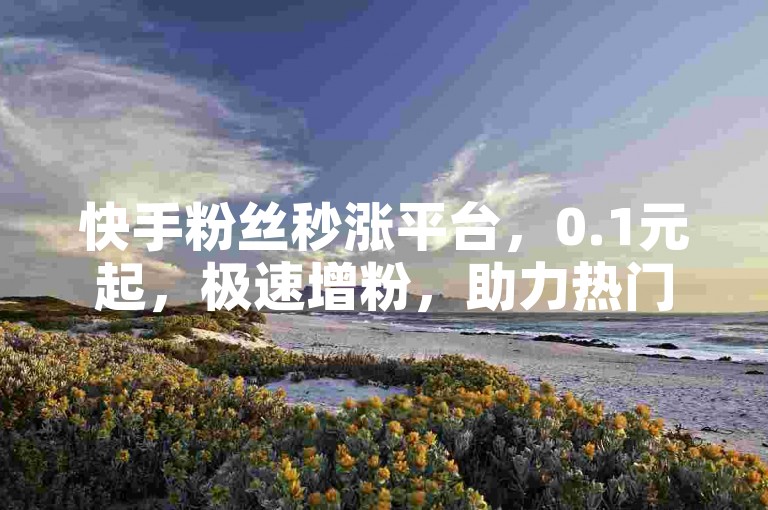 快手粉丝秒涨平台，0.1元起，极速增粉，助力热门 - 星耀传媒ks自助服务。