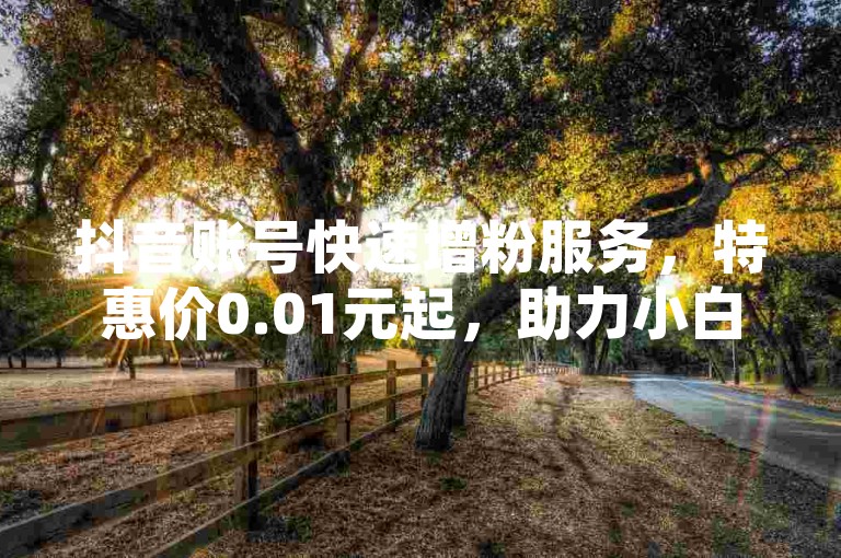 抖音账号快速增粉服务，特惠价0.01元起，助力小白龙马山肥大地房项目热度飙升，最新促销火热进行中！