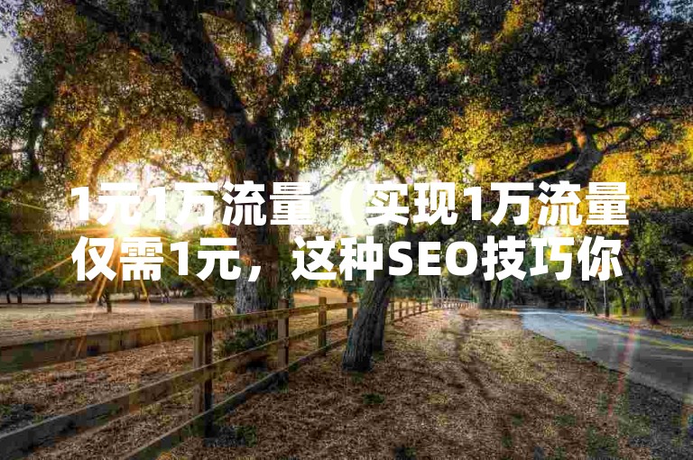 1元1万流量（实现1万流量仅需1元，这种SEO技巧你不得不知）