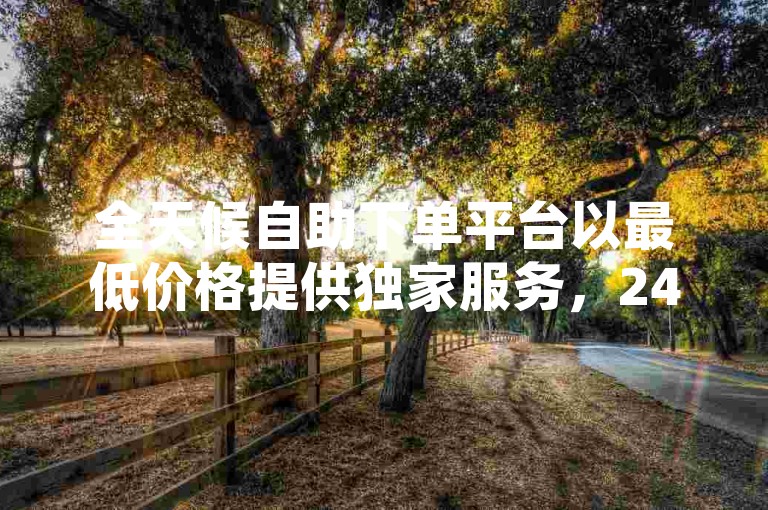 全天候自助下单平台以最低价格提供独家服务，24小时不间断自助下单，确保最佳性价比！未来趋势必掌握。