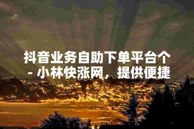 抖音业务自助下单平台个 - 小林快涨网，提供便捷的抖音服务购买体验。