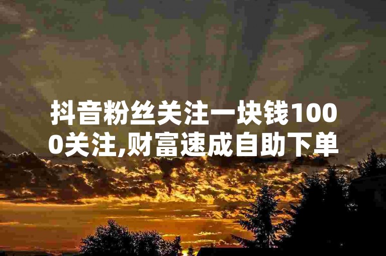 抖音粉丝关注一块钱1000关注,财富速成自助下单 - 快手业务平台在线 - douyin24小时自助下单全网最低价。