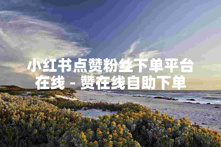 小红书点赞粉丝下单平台在线 - 赞在线自助下单