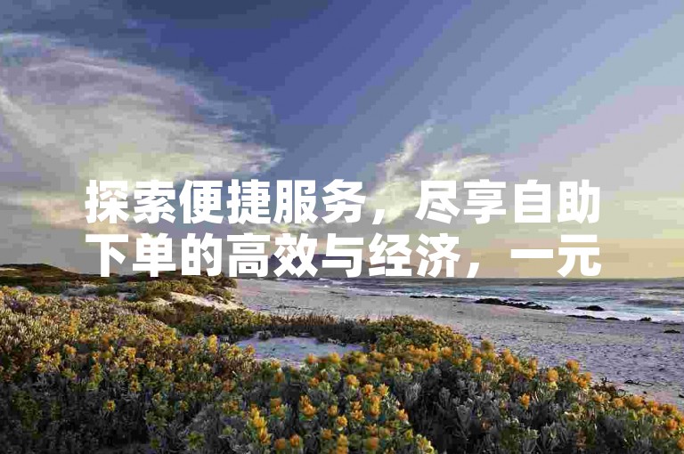 探索便捷服务，尽享自助下单的高效与经济，一元起体验全网最低价。