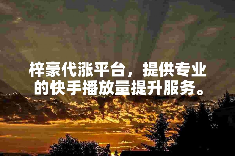 梓豪代涨平台，提供专业的快手播放量提升服务。