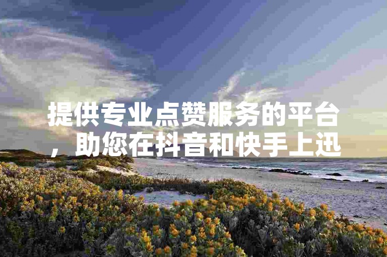 提供专业点赞服务的平台，助您在抖音和快手上迅速增加赞数。