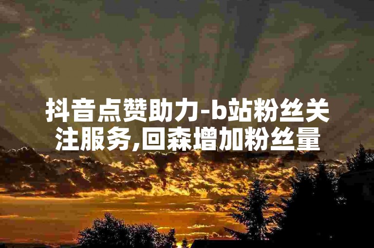 抖音点赞助力-b站粉丝关注服务,回森增加粉丝量