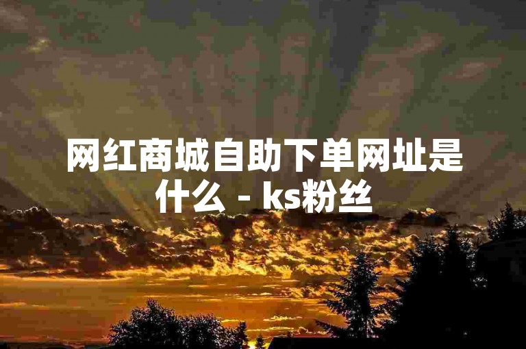 网红商城自助下单网址是什么 - ks粉丝