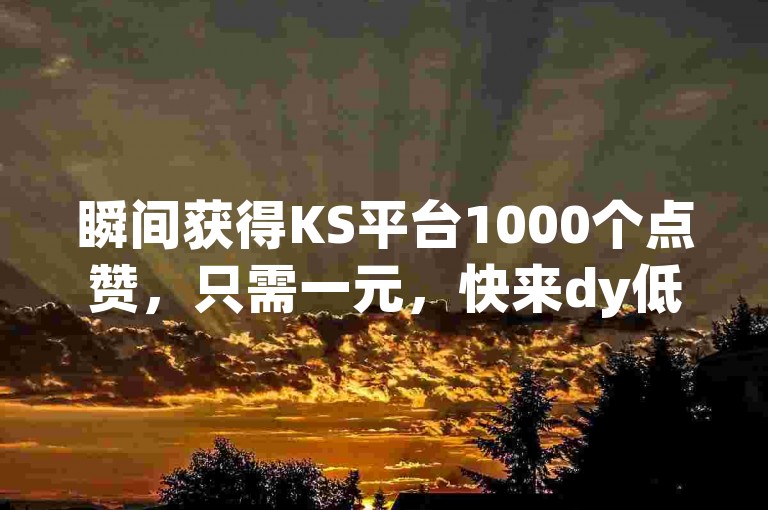 瞬间获得KS平台1000个点赞，只需一元，快来dy低价下单平台体验吧！