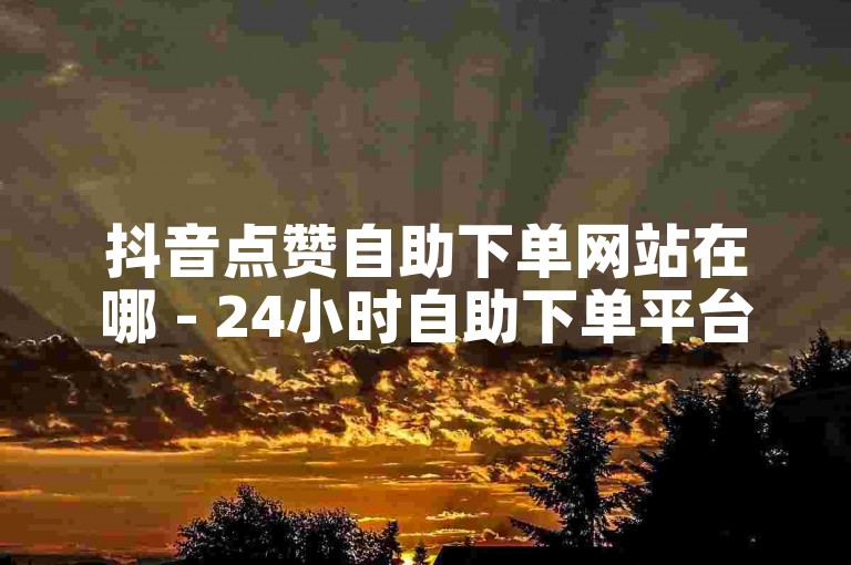 抖音点赞自助下单网站在哪 - 24小时自助下单平台网站低价