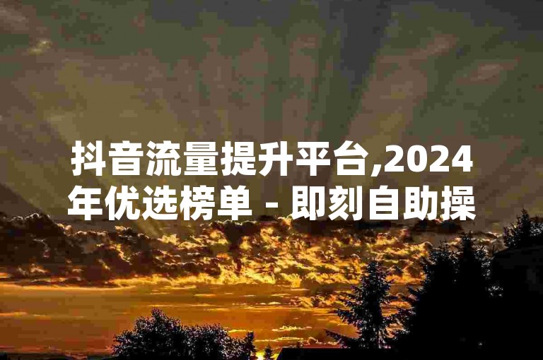 抖音流量提升平台,2024年优选榜单 - 即刻自助操作 - qq全天候自助服务市场