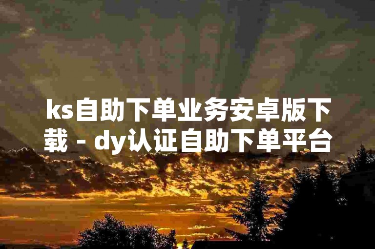ks自助下单业务安卓版下载 - dy认证自助下单平台