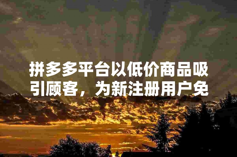 拼多多平台以低价商品吸引顾客，为新注册用户免费提供专属的pdd助力软件。