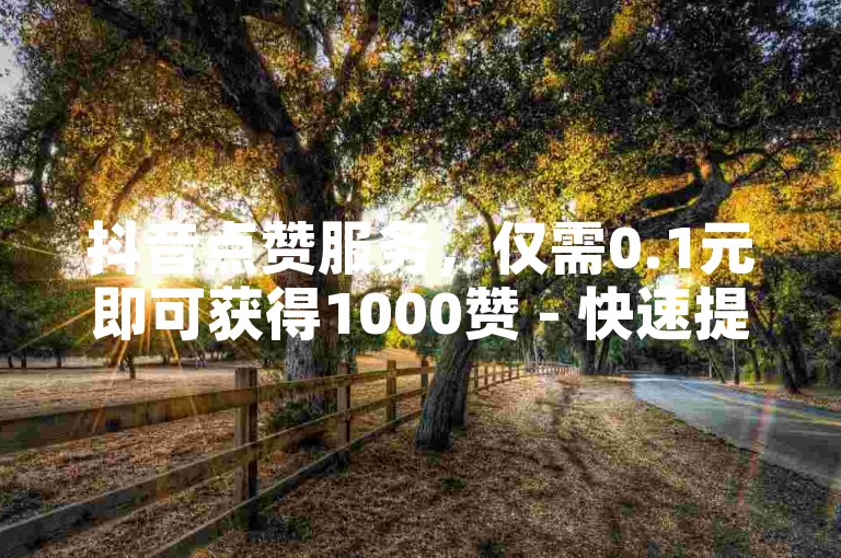 抖音点赞服务，仅需0.1元即可获得1000赞 - 快速提升您的抖音号影响力。