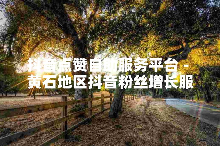抖音点赞自助服务平台 - 黄石地区抖音粉丝增长服务。