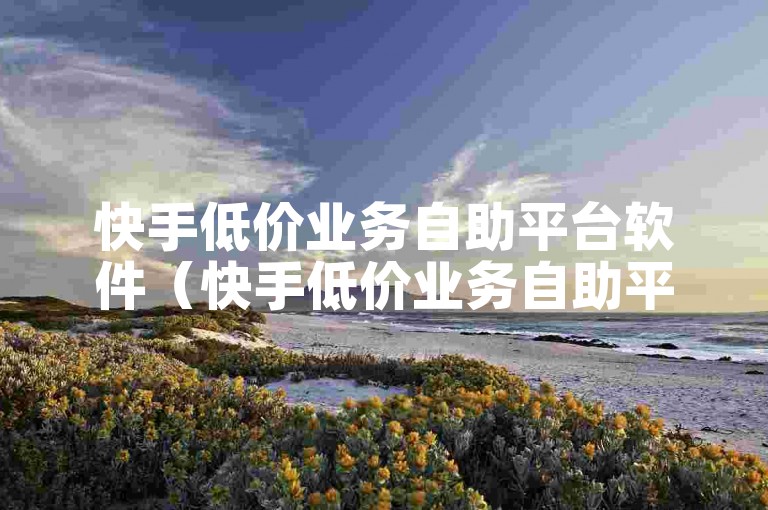 快手低价业务自助平台软件（快手低价业务自助平台软件w8h敟net全天候自助下单）