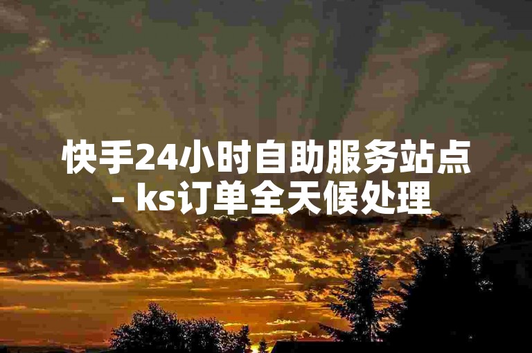 快手24小时自助服务站点 - ks订单全天候处理