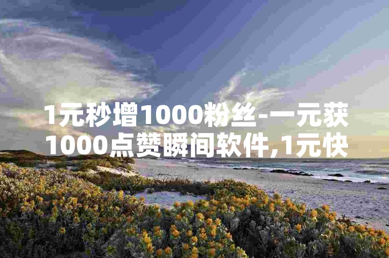 1元秒增1000粉丝-一元获1000点赞瞬间软件,1元快手增加100粉丝。