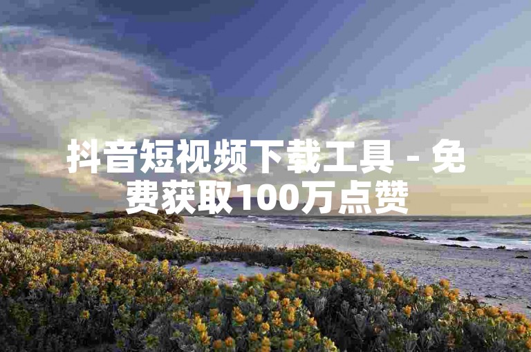 抖音短视频下载工具 - 免费获取100万点赞