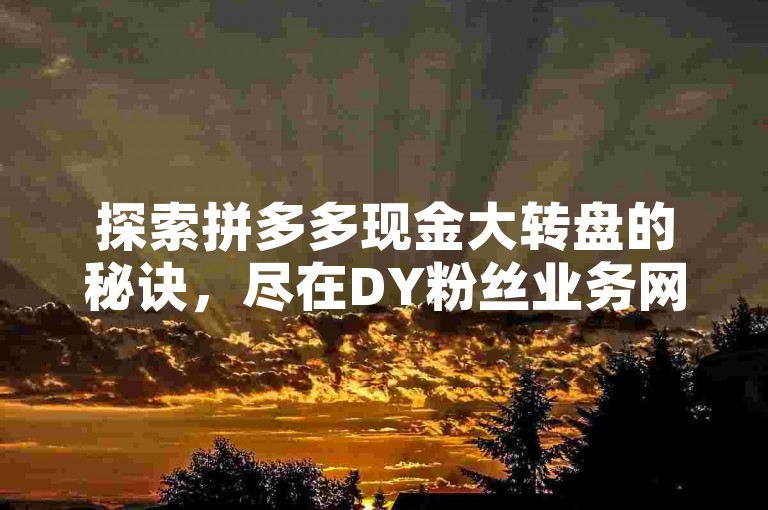 探索拼多多现金大转盘的秘诀，尽在DY粉丝业务网。