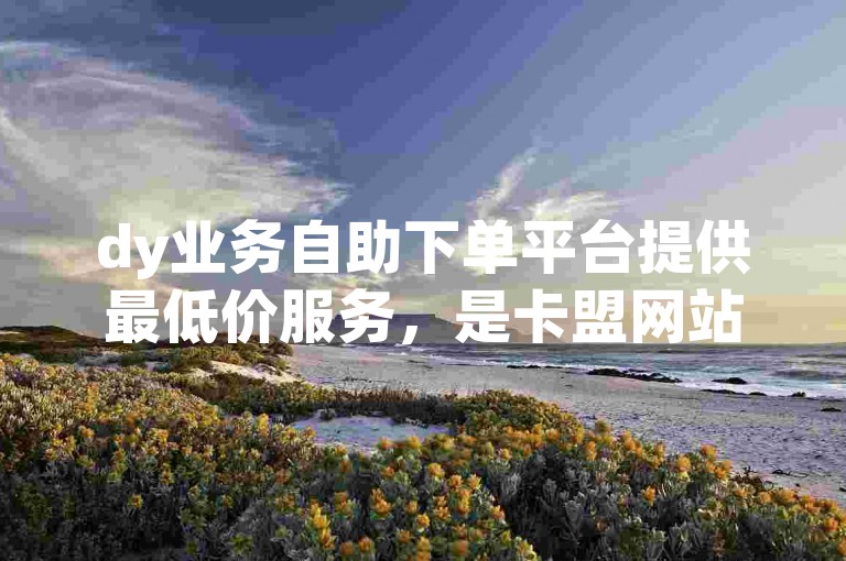 dy业务自助下单平台提供最低价服务，是卡盟网站的优选。