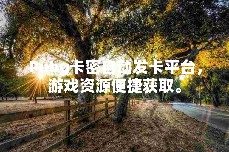 Pubg卡密自动发卡平台，游戏资源便捷获取。