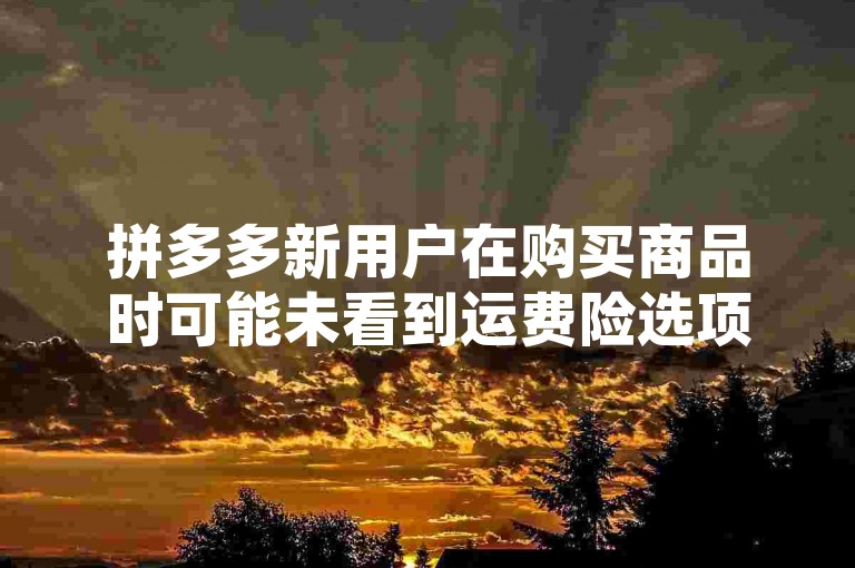 拼多多新用户在购买商品时可能未看到运费险选项，这可能是因为平台针对新用户的特定优惠政策或系统设置导致该选项暂时不可见。