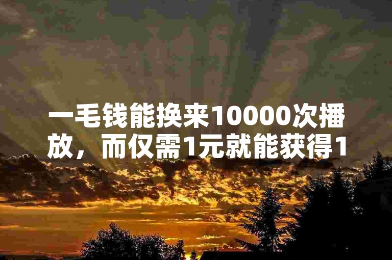 一毛钱能换来10000次播放，而仅需1元就能获得1000个粉丝的下单平台。