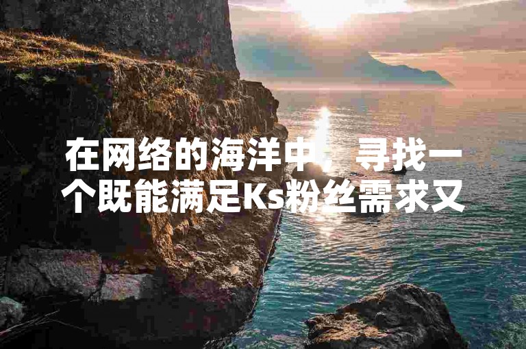 在网络的海洋中，寻找一个既能满足Ks粉丝需求又价格亲民的自助下单平台，就像发现了宝藏一般珍贵。