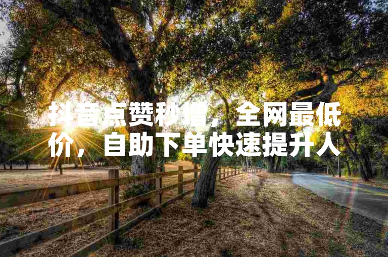 抖音点赞秒增，全网最低价，自助下单快速提升人气。