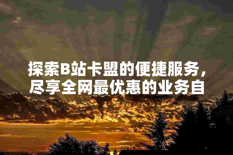 探索B站卡盟的便捷服务，尽享全网最优惠的业务自助下单体验，从抖音24小时业务到全民K歌直播电影，独家步骤大公开，让你轻松再战数字娱乐世界。