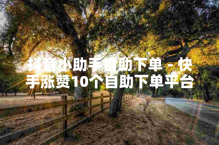 抖音小助手自助下单 - 快手涨赞10个自助下单平台，助你快速提升视频热度。