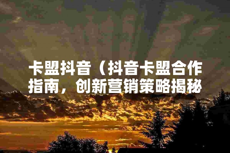 卡盟抖音（抖音卡盟合作指南，创新营销策略揭秘）