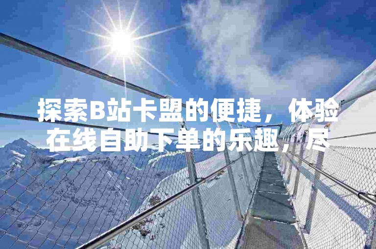 探索B站卡盟的便捷，体验在线自助下单的乐趣，尽享DY平台的低价优势。