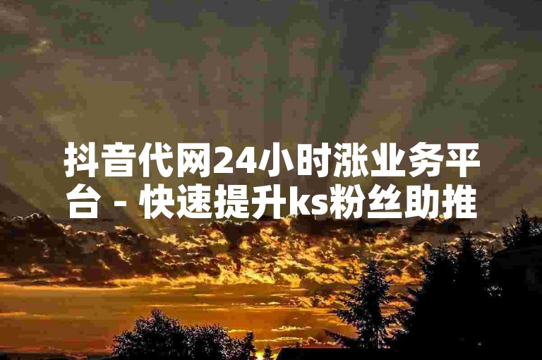 抖音代网24小时涨业务平台 - 快速提升ks粉丝助推平台排名