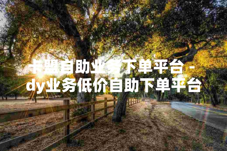 卡盟自助业务下单平台 - dy业务低价自助下单平台10赞